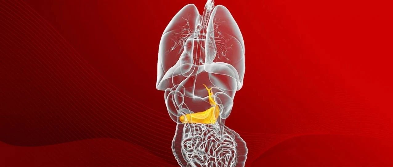 3年RFS是PDAC和BTC患者OS的可靠替代终点｜annals of surgery