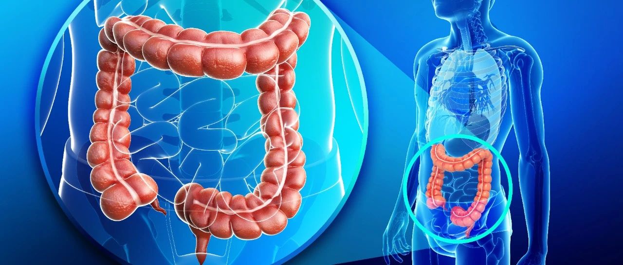 JAMA Oncology｜2006-2020年美国直肠癌患者器官保留治疗模式
