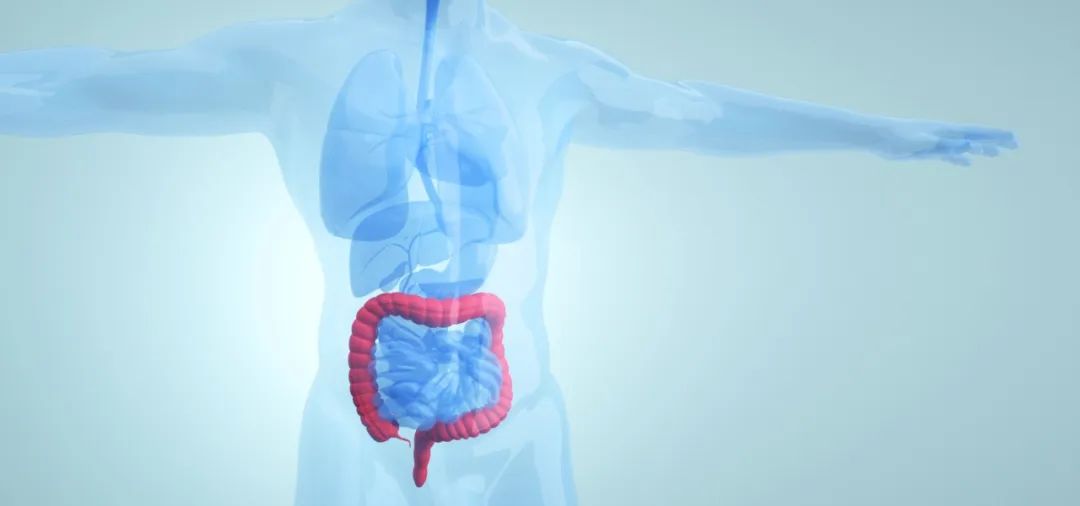 JAMA Oncology｜非局部晚期直肠癌放弃常规放疗后的肿瘤学预后