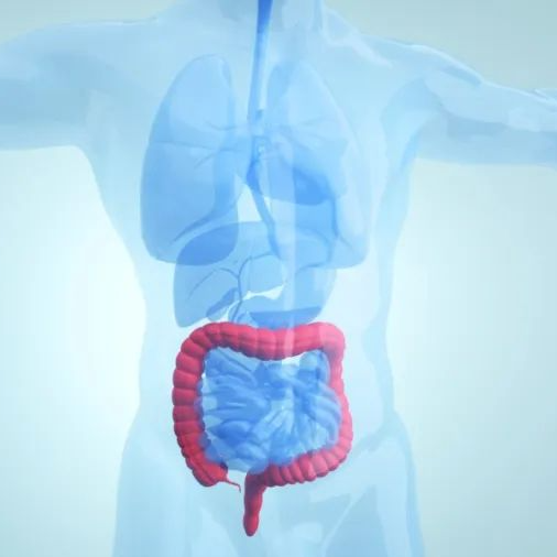JAMA Oncology｜非局部晚期直肠癌放弃常规放疗后的肿瘤学预后