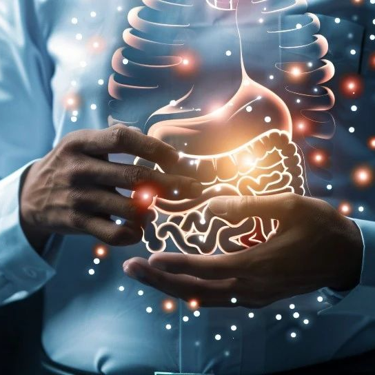 晚期胃癌一线化免治疗新视角：重塑早期免疫微环境
