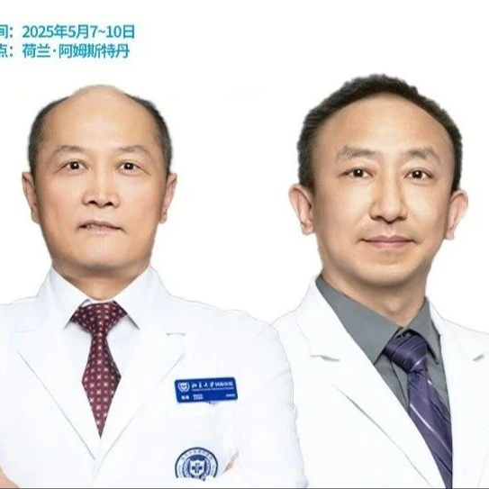 IGCC 2025丨陈凛教授＆宁宁教授：中国专场奏响国际舞台，国内胃癌研究与国际接轨
