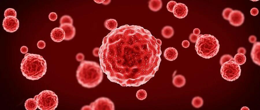 mFOLFOXIRI联合帕尼单抗一线治疗不可切除RAS/BRAF野生型转移性结直肠癌：Ⅲ期TRIPLETE研究的最终结果