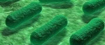 Nature发文：5%结直肠癌与大肠杆菌株相关，并揭秘DNA损伤模式