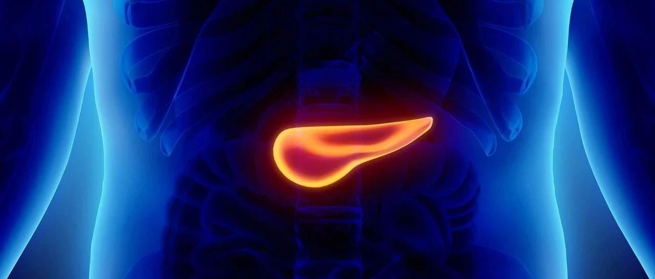 病理具有侵袭性特征、切缘阳性将影响胰腺癌癌前病变的预后