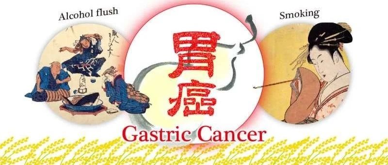 基因突变和饮酒习惯似乎增加了东亚人患胃癌的风险