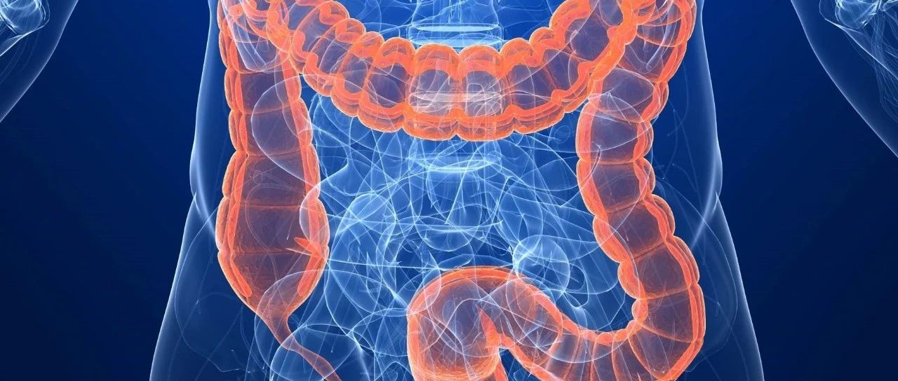 光明前路——直肠癌新辅助治疗获益新证据