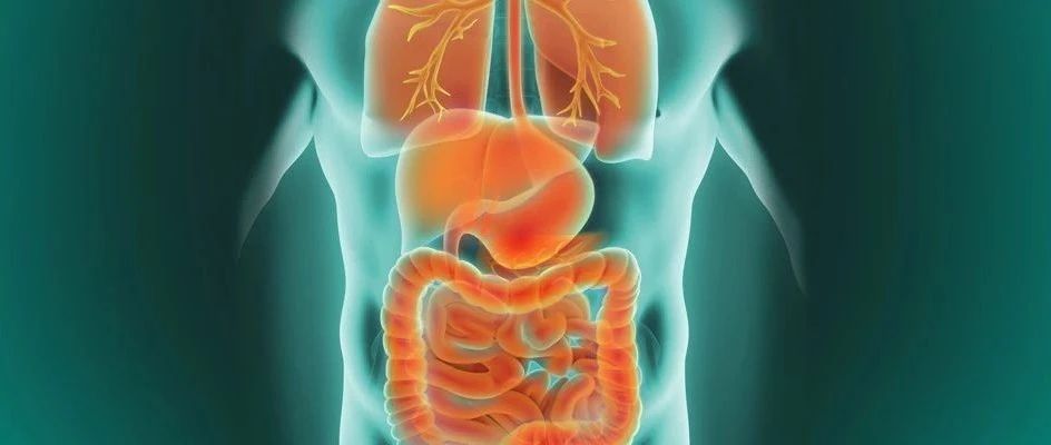 临床上遇到疑似神经内分泌肿瘤怎么办？迅速转诊给多学科专家团队