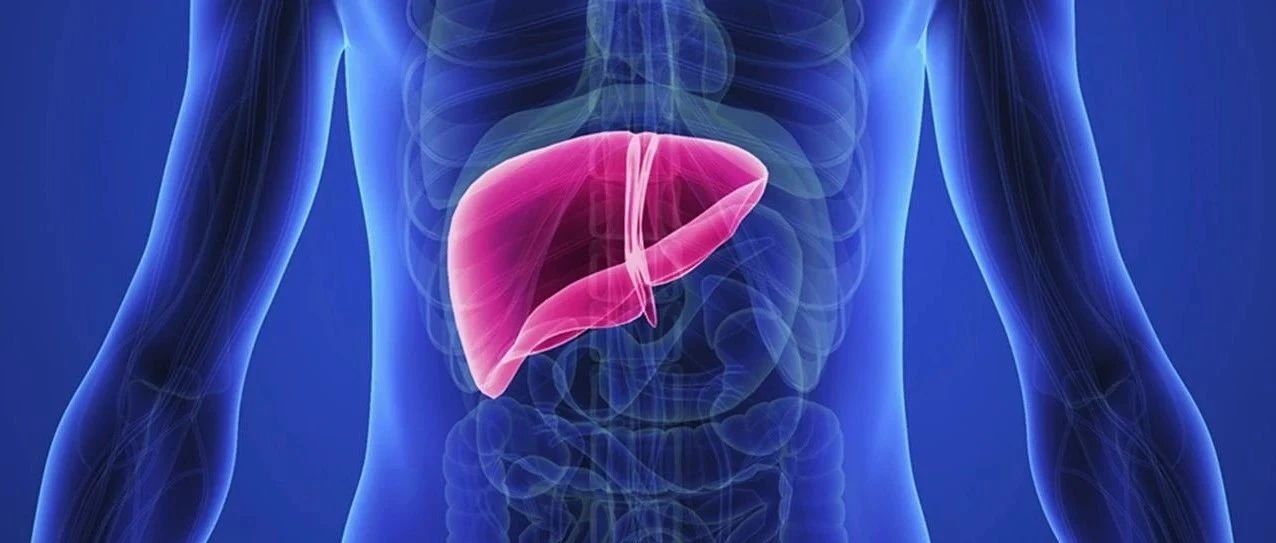 为何坚持抗病毒治疗仍罹患肝癌？HBV-HCC术后高复发原因何在？