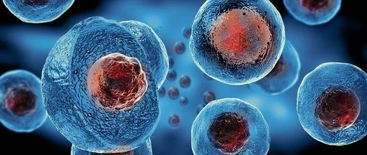 北京大学季加孚团队与合作者揭示了胃癌及其他多种癌症髓系细胞特征图谱