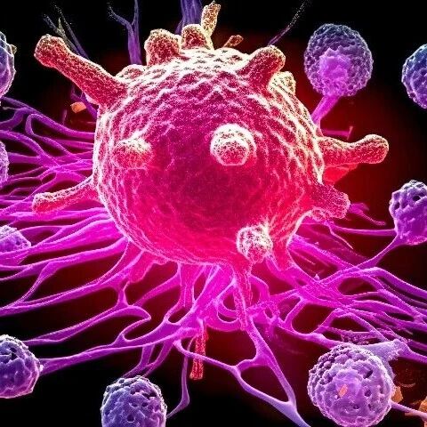 ORR为66.7%，DCR达100%，中位OS达到16.8个月！依沃西单抗联合化疗为晚期胆道癌一线治疗带来新突破